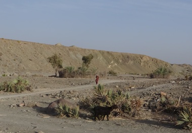 جاده های خوب؛ حق بر زمین مانده مردم روستاهای بشاگرد