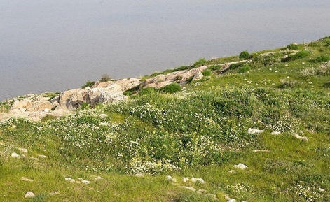 دریاچه اروميه