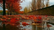 کاهش ۴ درصدی بارش های کل کشور نسبت به سال گذشته