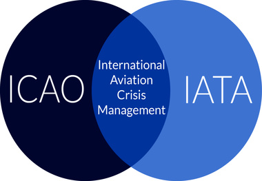 ICAO & IATA seek more common sense in cabin laptop bans