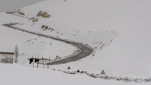 بارش برف و باران در محور چالوس و آزادراه تهران - شمال