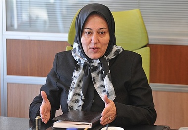 در ایران سازمانی که مالکیت کامیون‌های ترانزیتی را داشته باشد، وجود ندارد