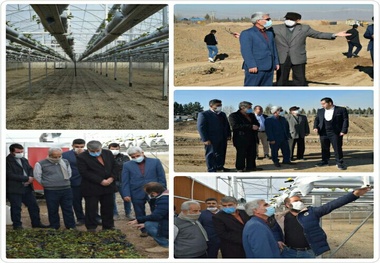 از روند پیشرفت گلخانه های این شهر بازدید کرد 