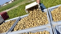 مقاله/ راهنمای حمل‌ونقل و محصولات کشاورزی