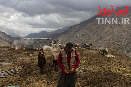 کولبر
