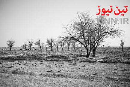 n00026018-r-b-007